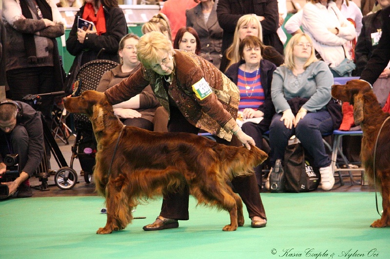 Crufts2011_2 060.jpg